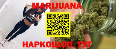 гидра Славгород