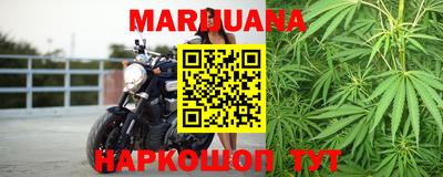 гидра Славгород