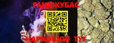 гидра Славгород