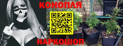 гидра Славгород