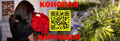 гидра Славгород