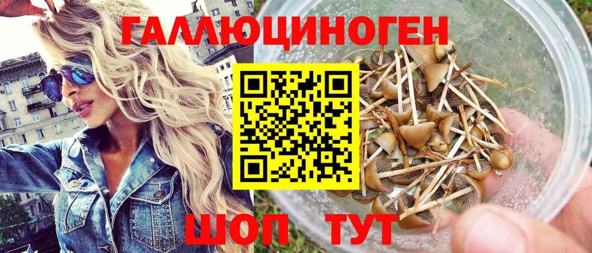 Павловский Посад  Псилоцибиновые грибы Psilocybe  Вход с VPN  Галлюциногенные грибы прущие грибы 